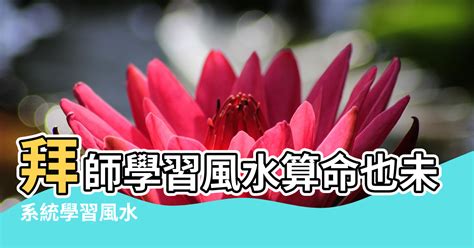 學風水拜師|學風水拜師：如何找到合適的風水師傅【學風水拜師】 – 八字算。